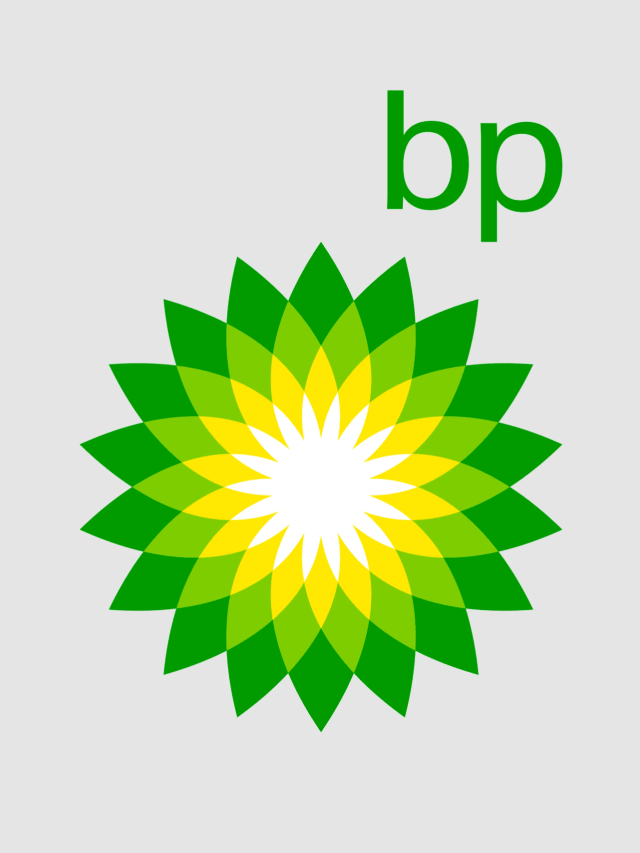 Petroleum Engineer