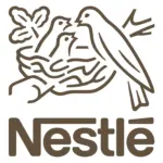 Electrical and Automation Engineer